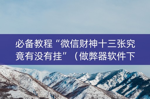 必备教程“微信财神十三张究竟有没有挂”（做弊器软件下载)