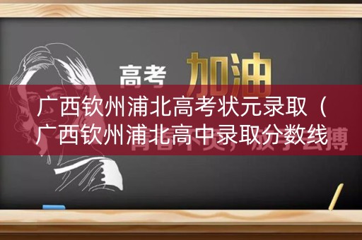 广西钦州浦北高考状元录取（广西钦州浦北高中录取分数线）