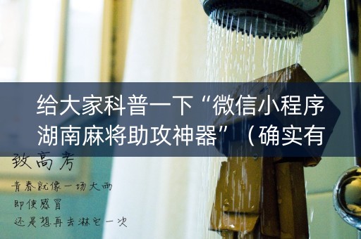 给大家科普一下“微信小程序湖南麻将助攻神器”（确实有插件吗)