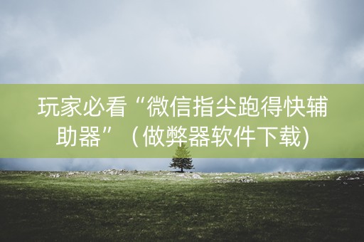 玩家必看“微信指尖跑得快辅助器”（做弊器软件下载)