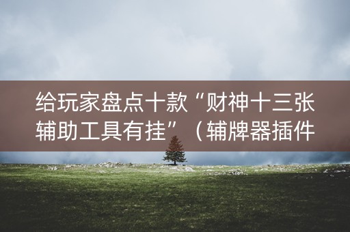 给玩家盘点十款“财神十三张辅助工具有挂”（辅牌器插件购买)