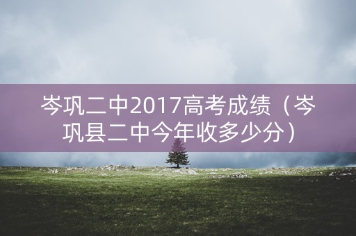 岑巩二中2017高考成绩（岑巩县二中今年收多少分）
