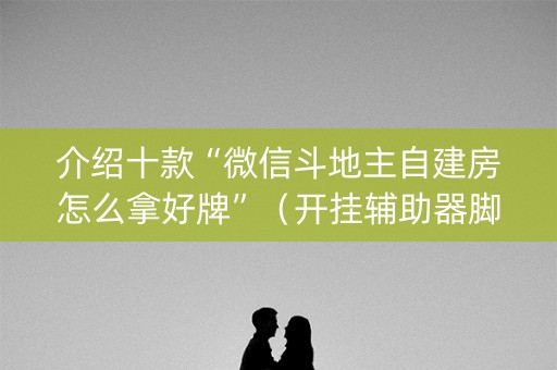 介绍十款“微信斗地主自建房怎么拿好牌”（开挂辅助器脚本)