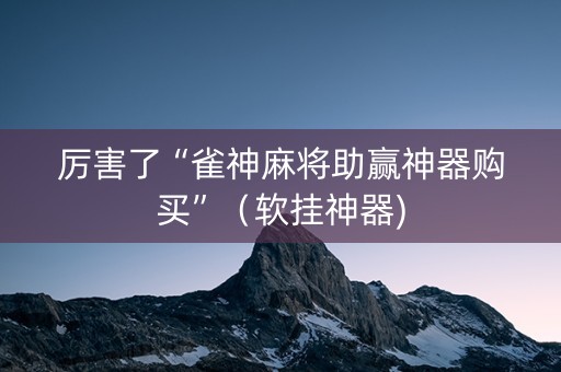 厉害了“雀神麻将助赢神器购买”（软挂神器)