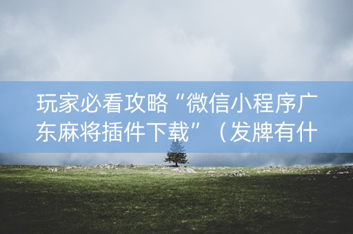 玩家必看攻略“微信小程序广东麻将插件下载”（发牌有什么规律吗)