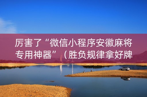 厉害了“微信小程序安徽麻将专用神器”（胜负规律拿好牌)