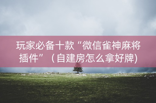玩家必备十款“微信雀神麻将插件”（自建房怎么拿好牌)