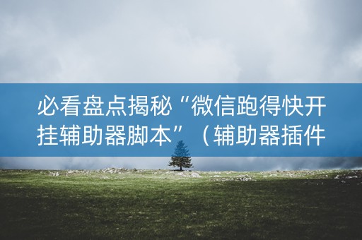 必看盘点揭秘“微信跑得快开挂辅助器脚本”（辅助器插件)