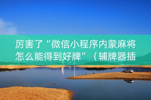 厉害了“微信小程序内蒙麻将怎么能得到好牌”（辅牌器插件购买)