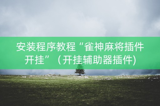 安装程序教程“雀神麻将插件开挂”（开挂辅助器插件)