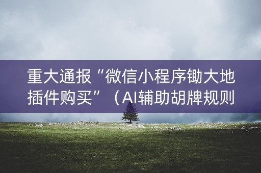 重大通报“微信小程序锄大地插件购买”（AI辅助胡牌规则)
