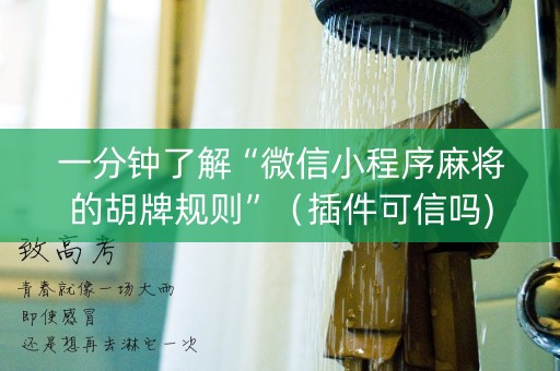 一分钟了解“微信小程序麻将的胡牌规则”（插件可信吗)
