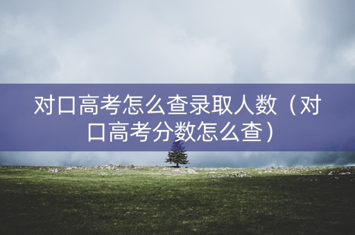 对口高考怎么查录取人数（对口高考分数怎么查）
