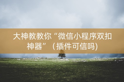 大神教教你“微信小程序双扣神器”（插件可信吗)