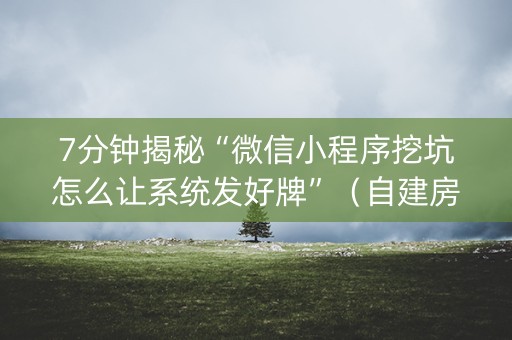 7分钟揭秘“微信小程序挖坑怎么让系统发好牌”（自建房怎么赢)