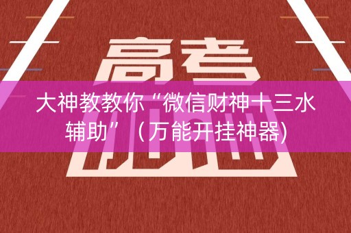 大神教教你“微信财神十三水辅助”（万能开挂神器)