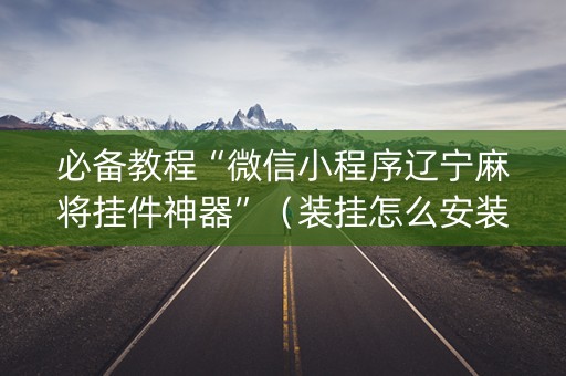必备教程“微信小程序辽宁麻将挂件神器”（装挂怎么安装)