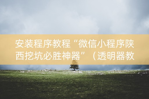 安装程序教程“微信小程序陕西挖坑必胜神器”（透明器教程)