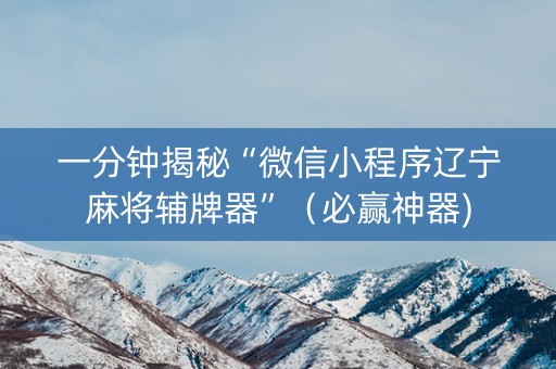 一分钟揭秘“微信小程序辽宁麻将辅牌器”（必赢神器)