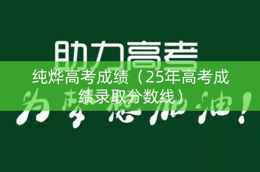 纯烨高考成绩（25年高考成绩录取分数线）