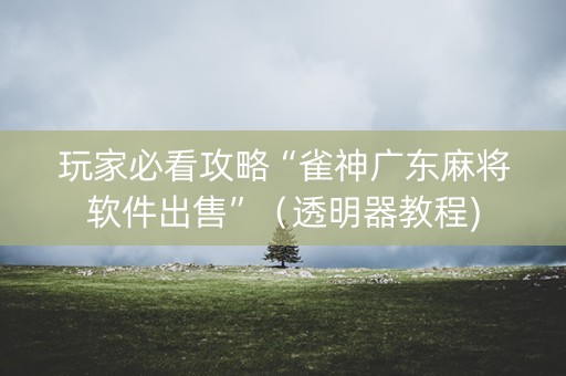 玩家必看攻略“雀神广东麻将软件出售”（透明器教程)