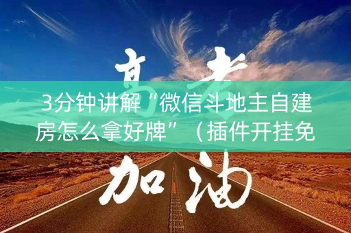 3分钟讲解“微信斗地主自建房怎么拿好牌”（插件开挂免费AI)