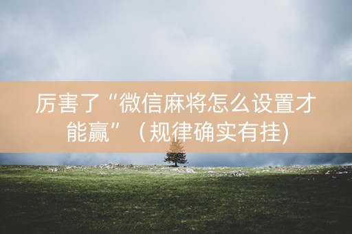 厉害了“微信麻将怎么设置才能赢”（规律确实有挂)