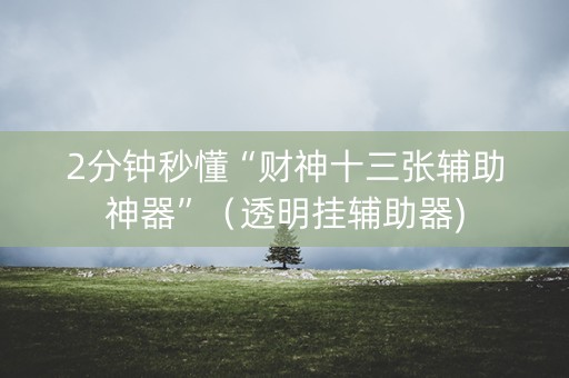 2分钟秒懂“财神十三张辅助神器”（透明挂辅助器)