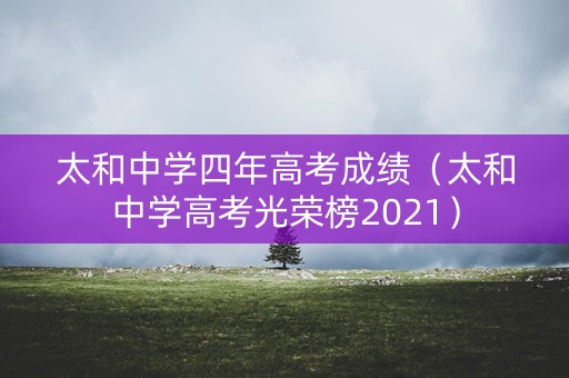 太和中学四年高考成绩（太和中学高考光荣榜2021）