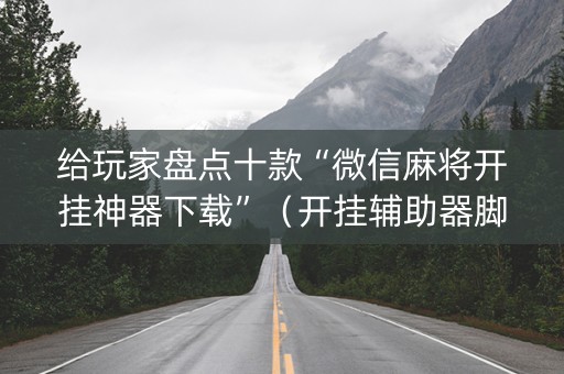 给玩家盘点十款“微信麻将开挂神器下载”（开挂辅助器脚本)