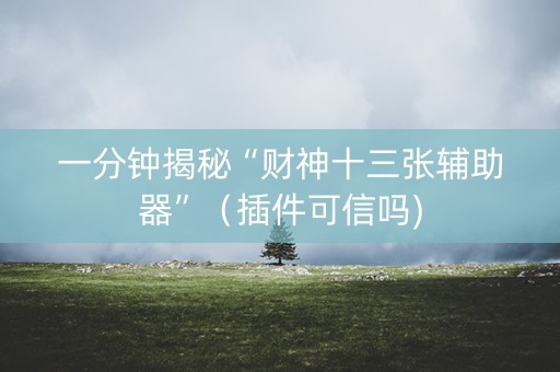 一分钟揭秘“财神十三张辅助器”（插件可信吗)