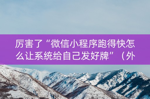 厉害了“微信小程序跑得快怎么让系统给自己发好牌”（外辅工具)