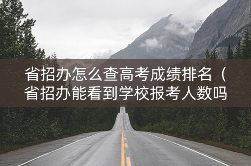 省招办怎么查高考成绩排名（省招办能看到学校报考人数吗）