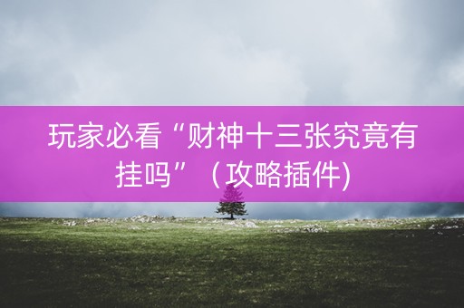 玩家必看“财神十三张究竟有挂吗”（攻略插件)