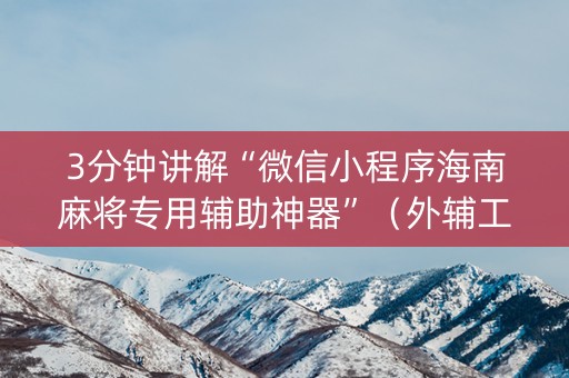 3分钟讲解“微信小程序海南麻将专用辅助神器”（外辅工具)