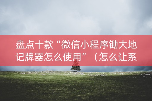 盘点十款“微信小程序锄大地记牌器怎么使用”（怎么让系统给自己好牌)