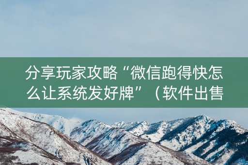 分享玩家攻略“微信跑得快怎么让系统发好牌”（软件出售)