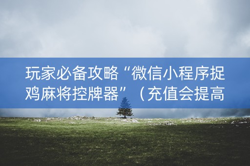玩家必备攻略“微信小程序捉鸡麻将控牌器”（充值会提高胜率么)
