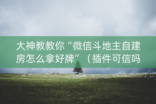 大神教教你“微信斗地主自建房怎么拿好牌”（插件可信吗)