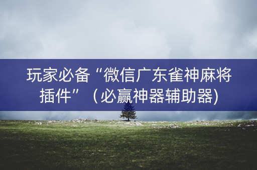 玩家必备“微信广东雀神麻将插件”（必赢神器辅助器)