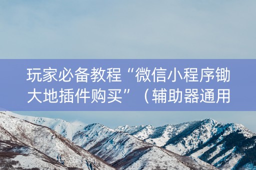 玩家必备教程“微信小程序锄大地插件购买”（辅助器通用版)