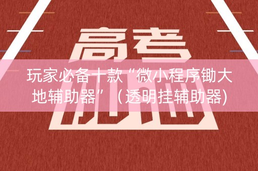 玩家必备十款“微小程序锄大地辅助器”（透明挂辅助器)