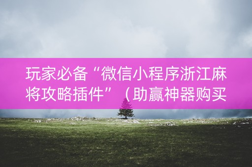 玩家必备“微信小程序浙江麻将攻略插件”（助赢神器购买)