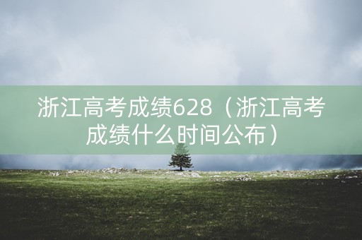 浙江高考成绩628（浙江高考成绩什么时间公布）