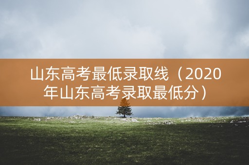 山东高考最低录取线（2020年山东高考录取最低分）