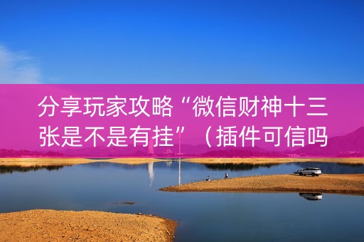 分享玩家攻略“微信财神十三张是不是有挂”（插件可信吗)