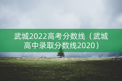 武城2022高考分数线（武城高中录取分数线2020）