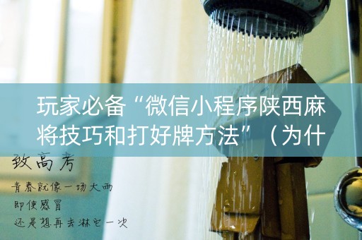 玩家必备“微信小程序陕西麻将技巧和打好牌方法”（为什么有人一直赢)