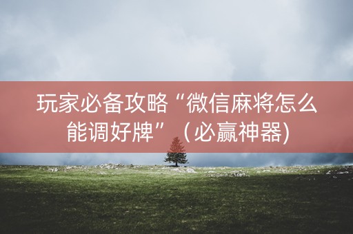 玩家必备攻略“微信麻将怎么能调好牌”（必赢神器)