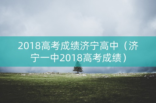 2018高考成绩济宁高中（济宁一中2018高考成绩）